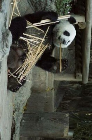 Cover of Panda and a Bamboo Snack Journal