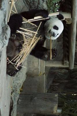 Book cover for Panda and a Bamboo Snack Journal