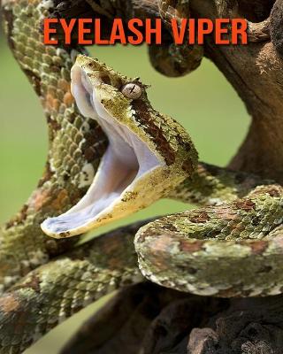 Book cover for Eyelash Viper