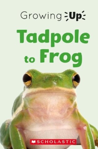 Cover of Tadpole to Frog (Growing Up)