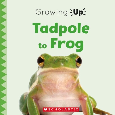 Cover of Tadpole to Frog (Growing Up)