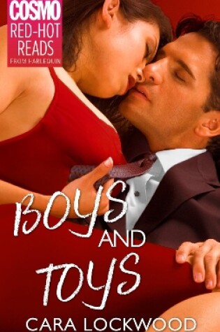 Cover of Boys And Toys