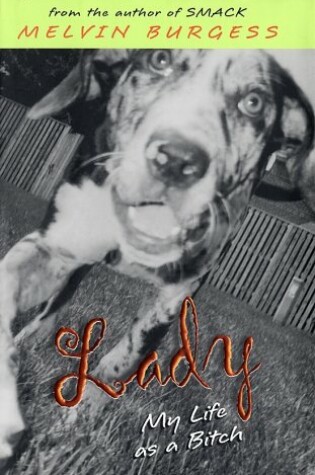 Cover of Lady