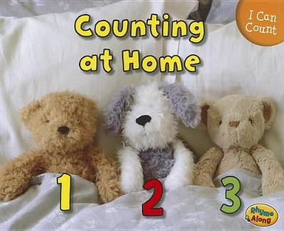 Book cover for I Can Count Counting at Home