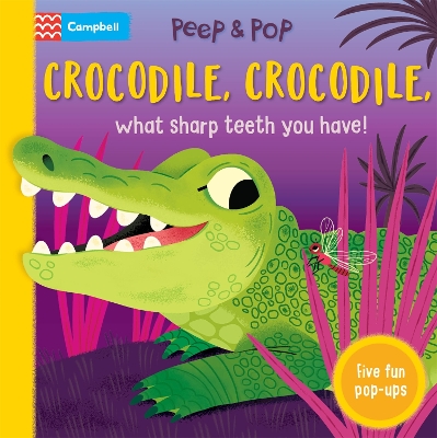 Cover of Crocodile, Crocodile, What Sharp Teeth You Have!