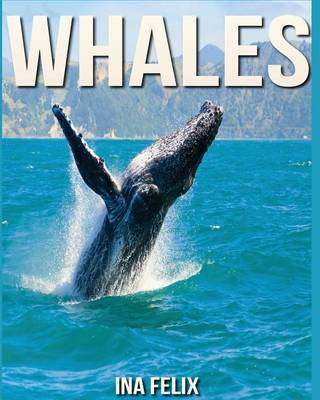 Book cover for Whales