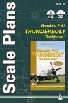 Book cover for Republic P-47d 'bubbletop'