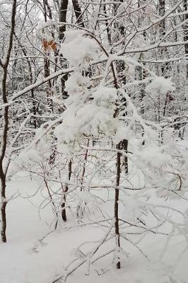 Cover of Journal After Snowstorm Winter Picture