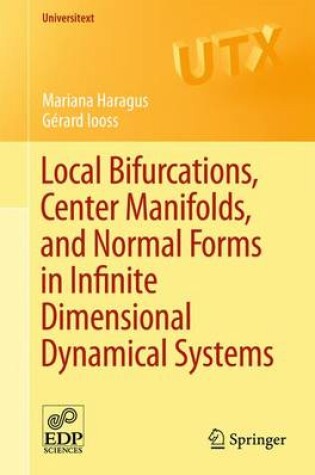 Cover of Local Bifurcations, Center Manifolds, and Normal Forms in Infinite-Dimensional Dynamical Systems