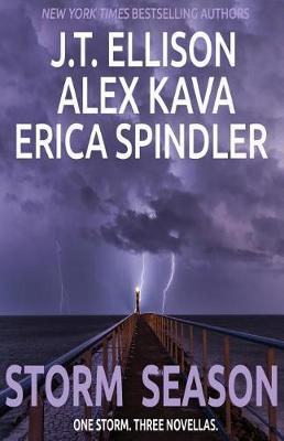 Book cover for Storm Season