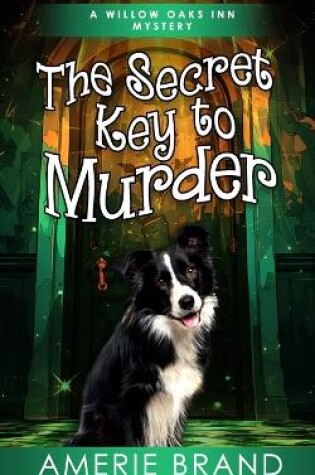 Cover of The Secret Key to Murder