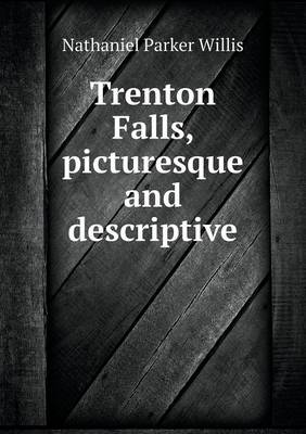 Book cover for Trenton Falls, picturesque and descriptive