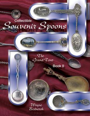 Book cover for Collectible Souvenir Spoons