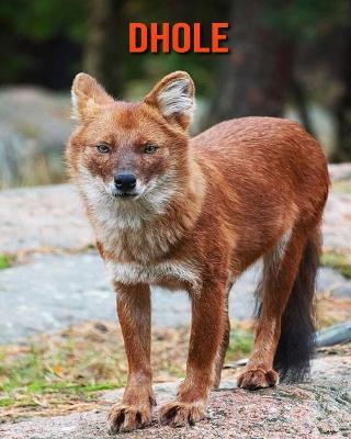 Book cover for Dhole