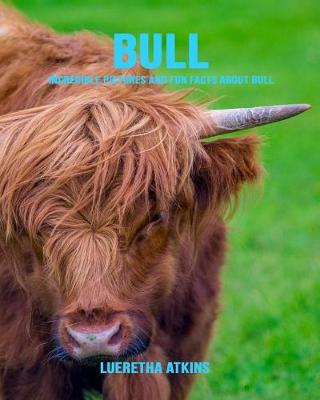 Book cover for Bull