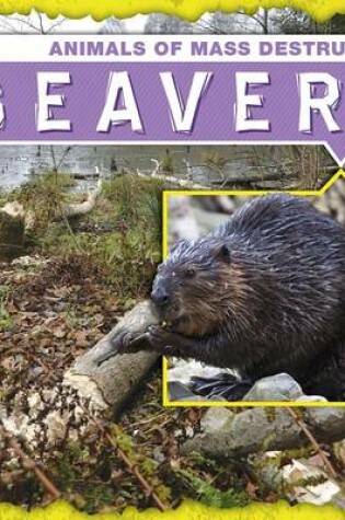 Cover of Beavers