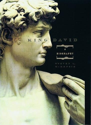 Book cover for King David