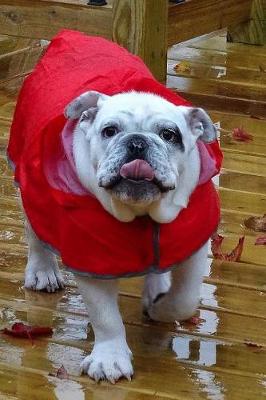 Book cover for English Bulldog in a Red Raincoat Journal