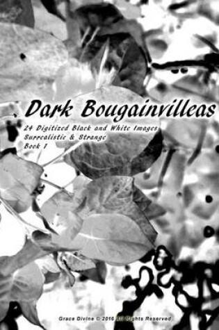 Cover of Dark Bougainvilleas 24 Digitized Black and White Images Surrealistic & Strange Book 1