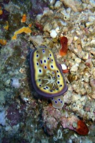 Cover of A Sea Slug on the Ocean Reef