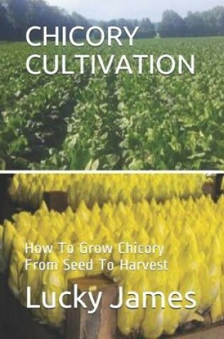 Cover of Chicory Cultivation
