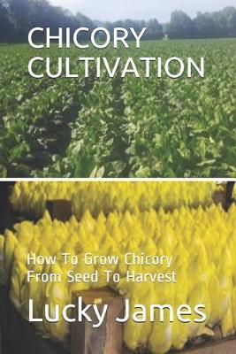 Book cover for Chicory Cultivation