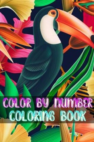 Cover of Color By Number Coloring Book