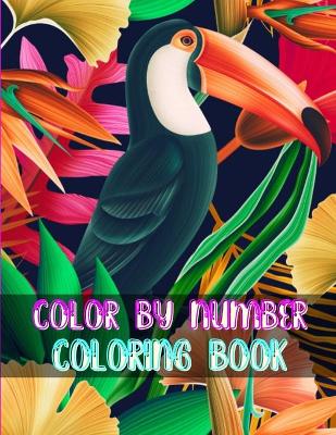 Book cover for Color By Number Coloring Book