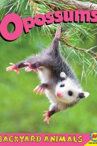 Cover of Opossums with Code