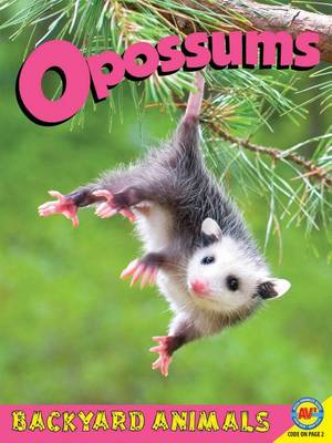 Book cover for Opossums with Code