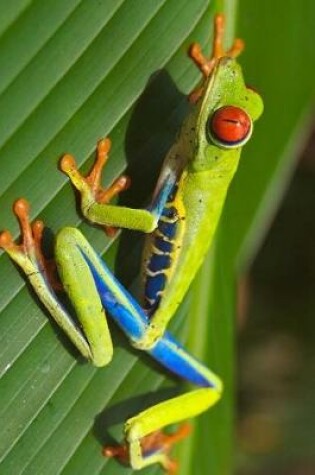 Cover of Red Eyed Tree Frog on a Palm Frond Journal