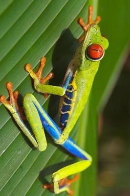 Book cover for Red Eyed Tree Frog on a Palm Frond Journal