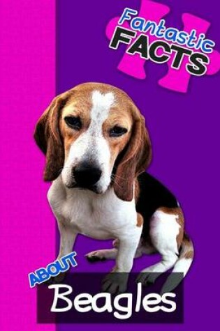 Cover of Fantastic Facts about Beagles