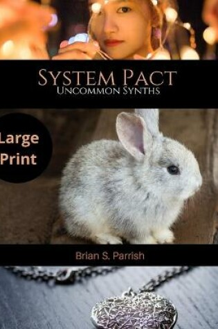 Cover of System Pact