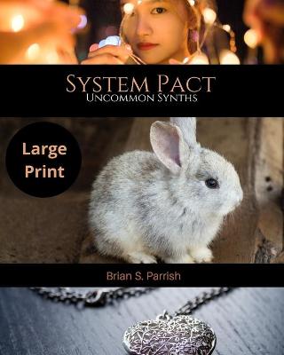 Book cover for System Pact