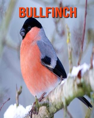 Book cover for Bullfinch