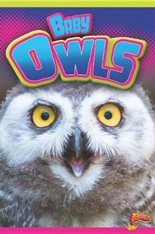 Cover of Baby Owls