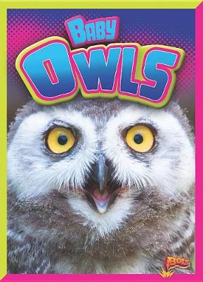 Cover of Baby Owls