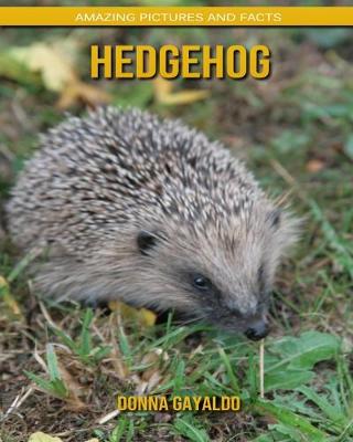 Book cover for Hedgehog