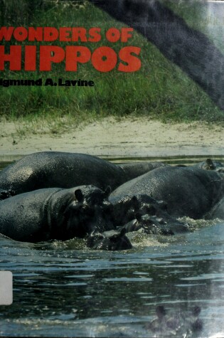Cover of Wonders of Hippos