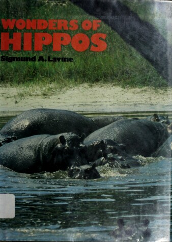 Cover of Wonders of Hippos