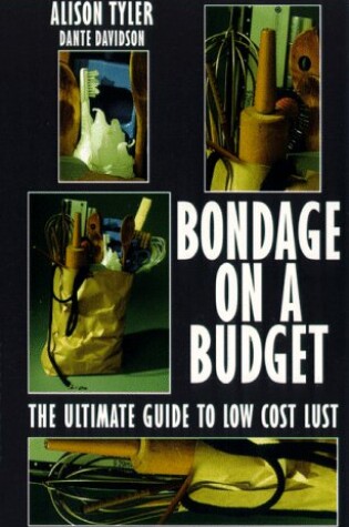 Cover of Bondage on a Budget