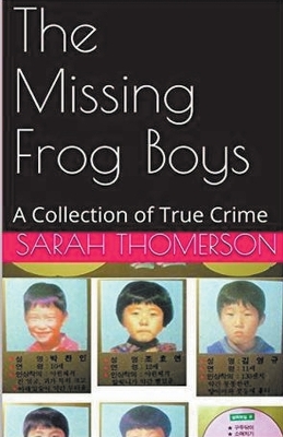 Book cover for The Missing Frog Boys