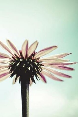 Cover of Coneflower In Summertime Light - Lined Notebook with Margins - 6X9