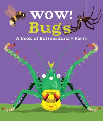 Cover of Wow! Bugs