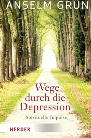 Cover of Wege Durch Die Depression