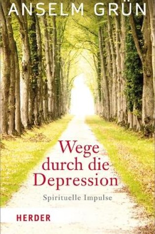 Cover of Wege Durch Die Depression