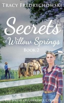 Book cover for Secrets of Willow Springs - Book 2