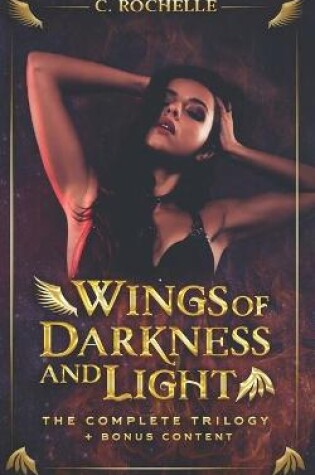 Cover of Wings of Darkness + Light