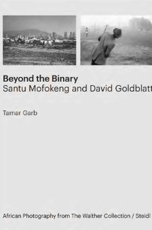 Cover of Tamar Garb: Beyond the Binary